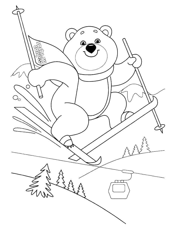 Название: Раскраска Медведь на лыжах. Категория: Животные. Теги: лыжи.