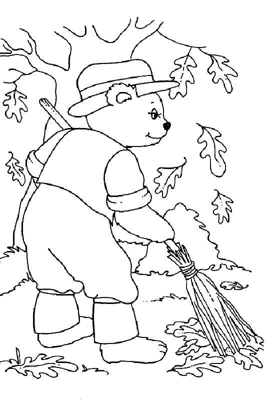 Coloring Bear cleans the leaves. Category autumn. Tags:  leaves, autumn.