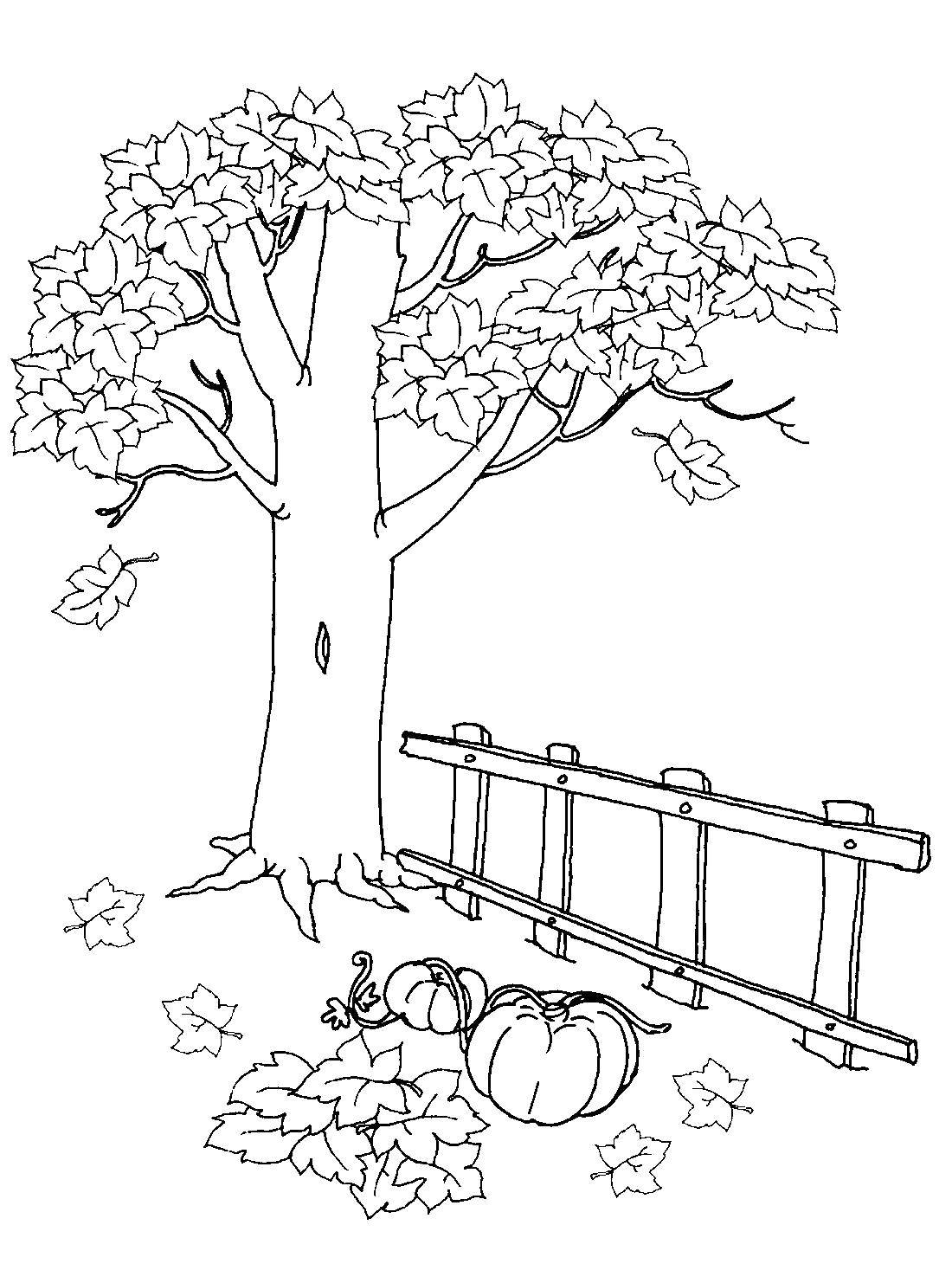 Название: Раскраска Тыковки в листьях. Категория: осень. Теги: Осень, урожай.