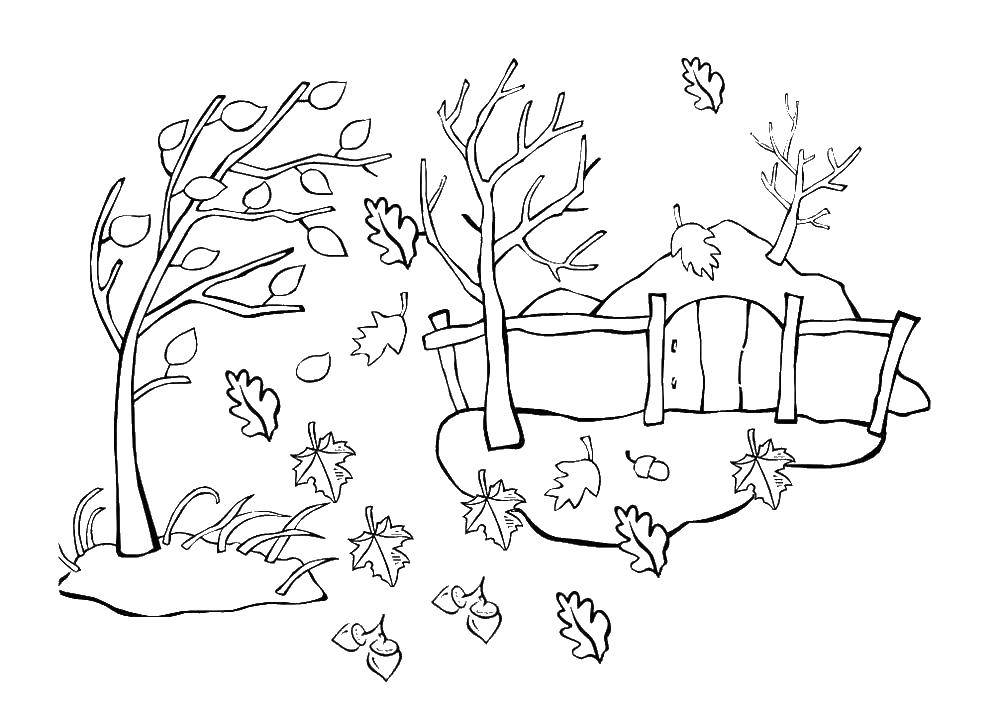 Название: Раскраска Ветер сдувает листья. Категория: осень. Теги: листья, дерево.