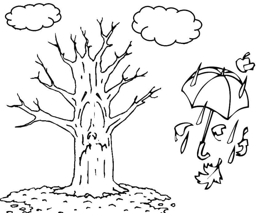 Название: Раскраска Голое деревце и дождь. Категория: дерево. Теги: Деревья, дождь, зонт.