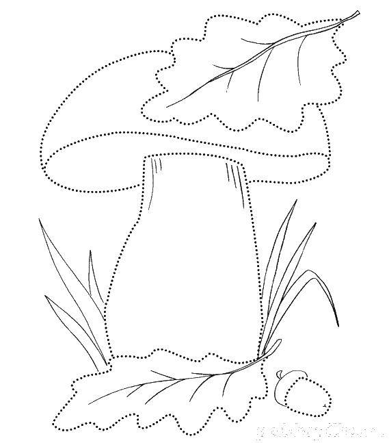 Название: Раскраска Гриб. Категория: грибы. Теги: грибы.