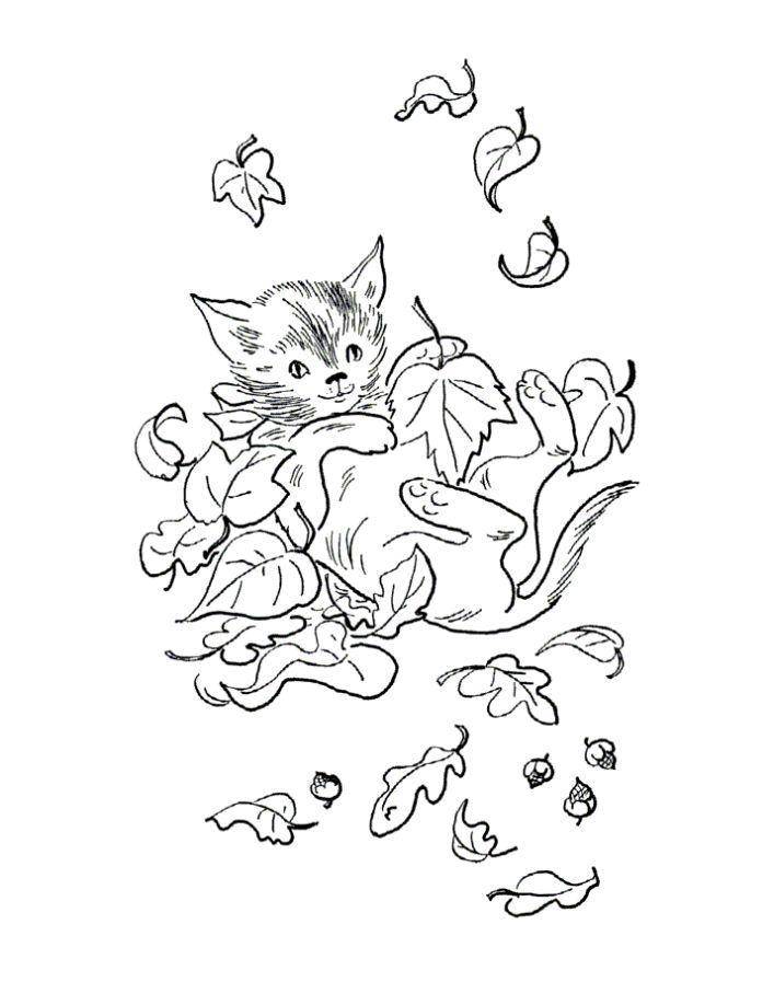 Название: Раскраска Котёнок играет в листочках. Категория: осень. Теги: Осень, листья.