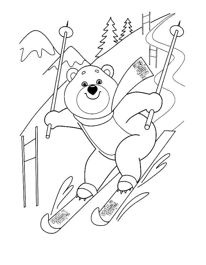 Название: Раскраска Медведь на лыжах. Категория: Животные. Теги: лыжи.