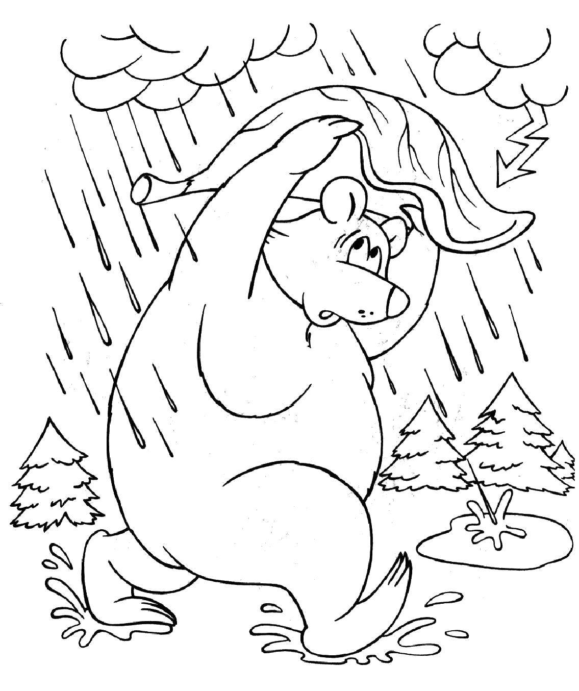 Название: Раскраска Медведь прячется от дождя. Категория: осень. Теги: Осень, дождь, медведь.