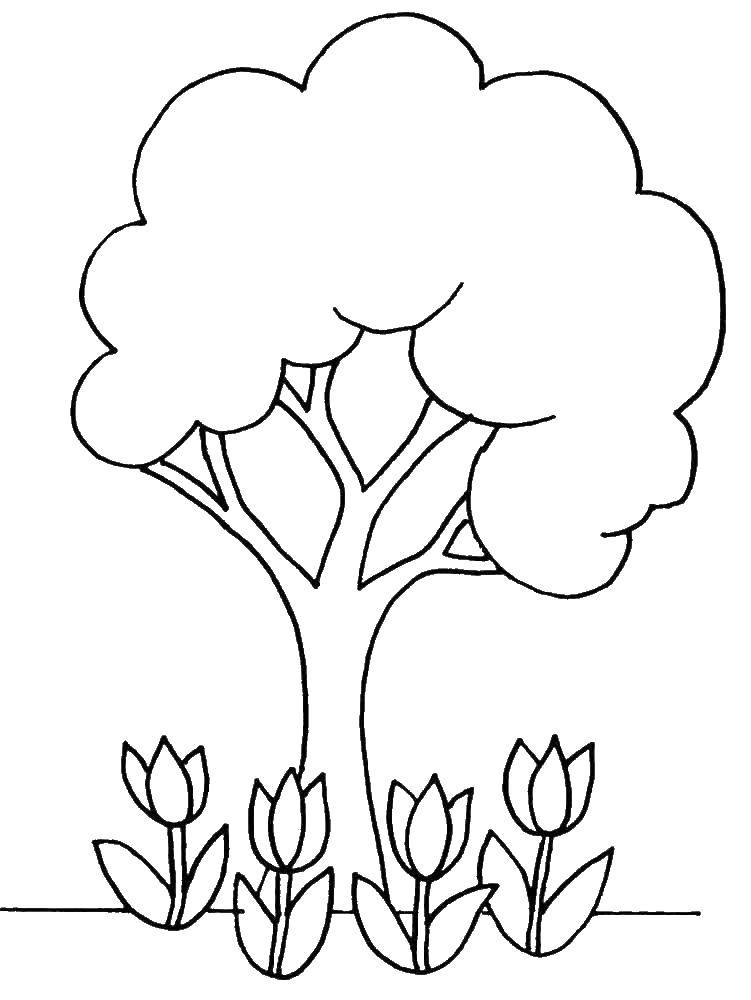 Название: Раскраска Тюльпанчики под деревцем. Категория: цветы. Теги: Цветы, тюльпаны.