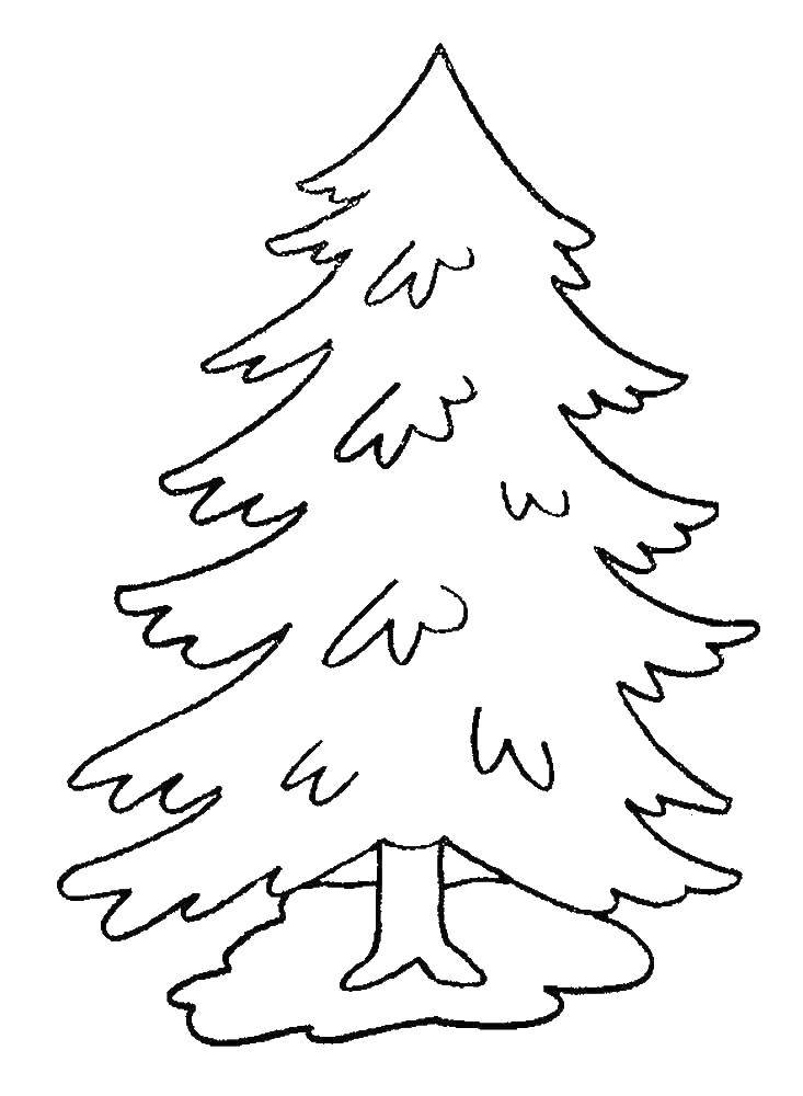Coloring Herringbone. Category tree. Tags:  Trees, tree.