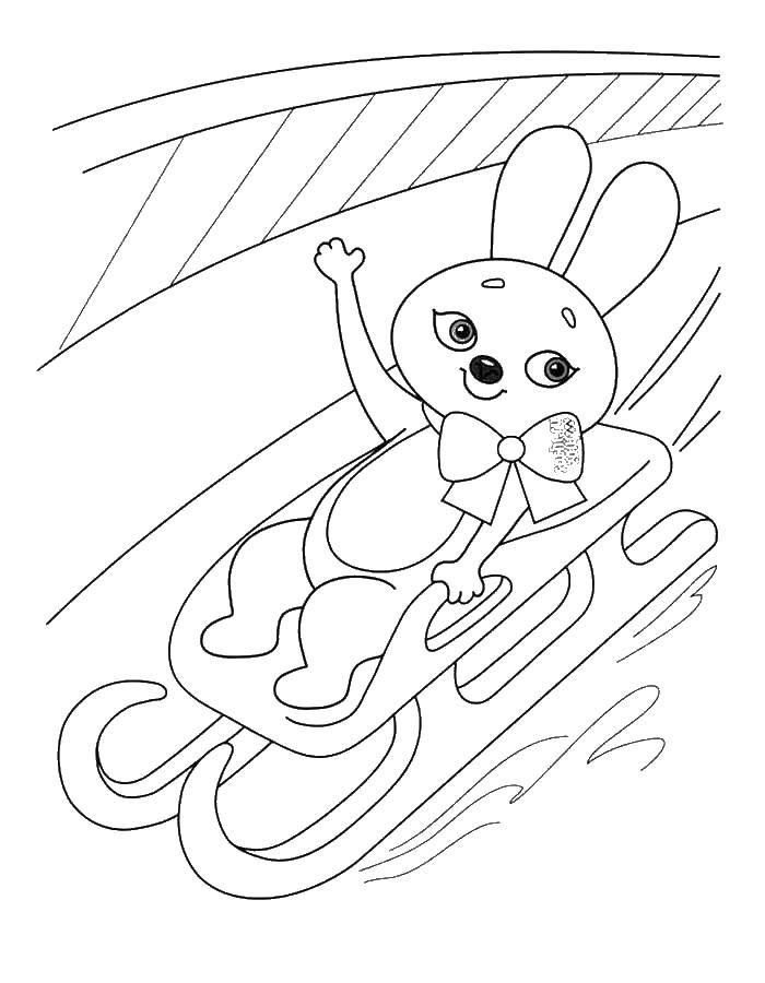 Coloring Bunny on a sled. Category sports. Tags:  sled.
