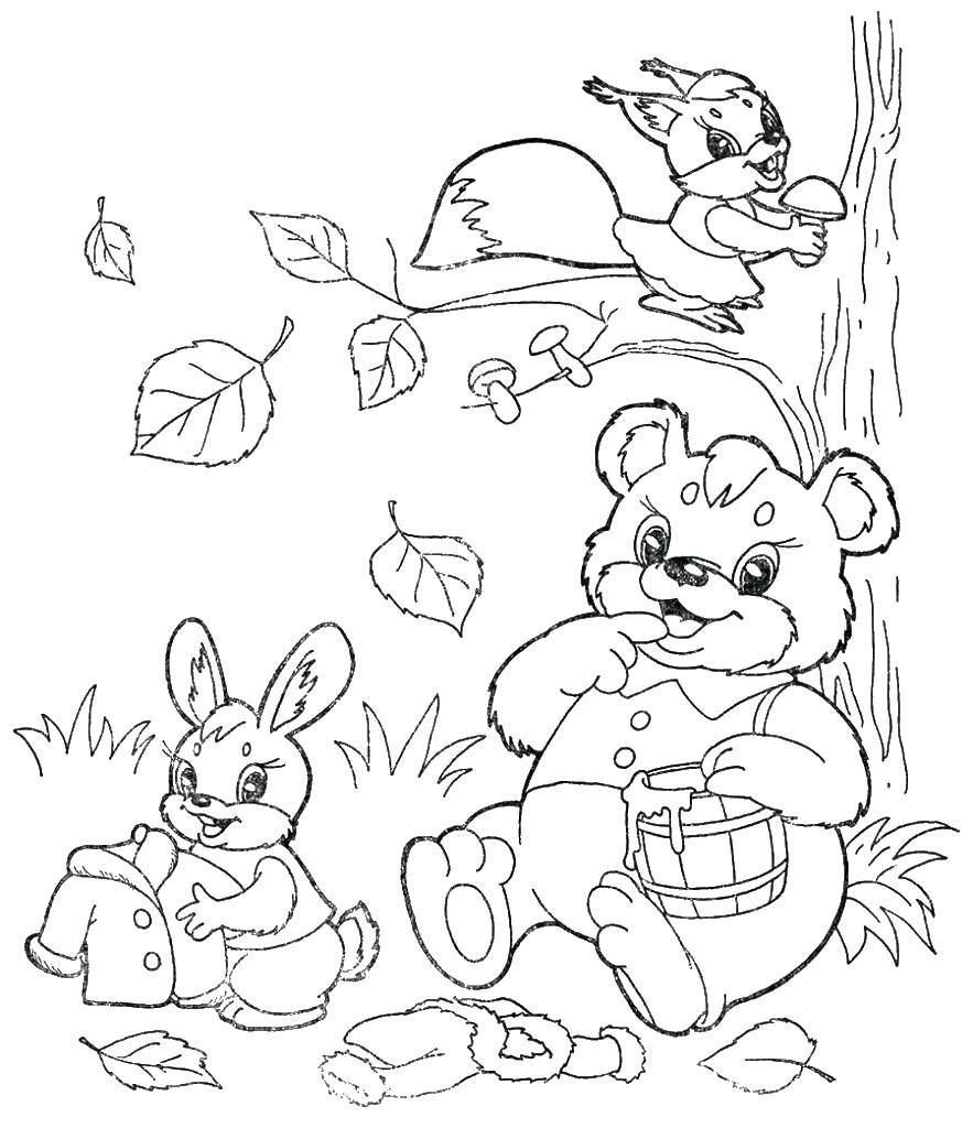Coloring Animals in the woods prepare for winter. Category autumn. Tags:  animals, winter.