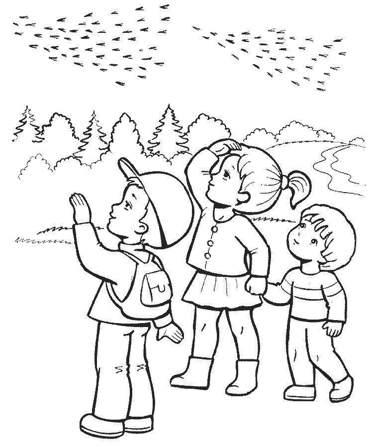 Розмальовки  Діти спостерігають за птахами. Завантажити розмальовку діти, листя, птахи.  Роздрукувати ,осінь,