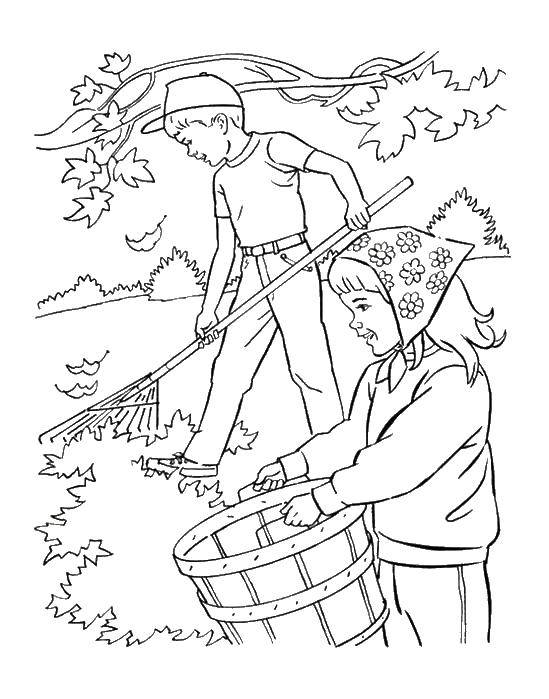 Coloring Children collect leaves. Category autumn. Tags:  children, leaves.
