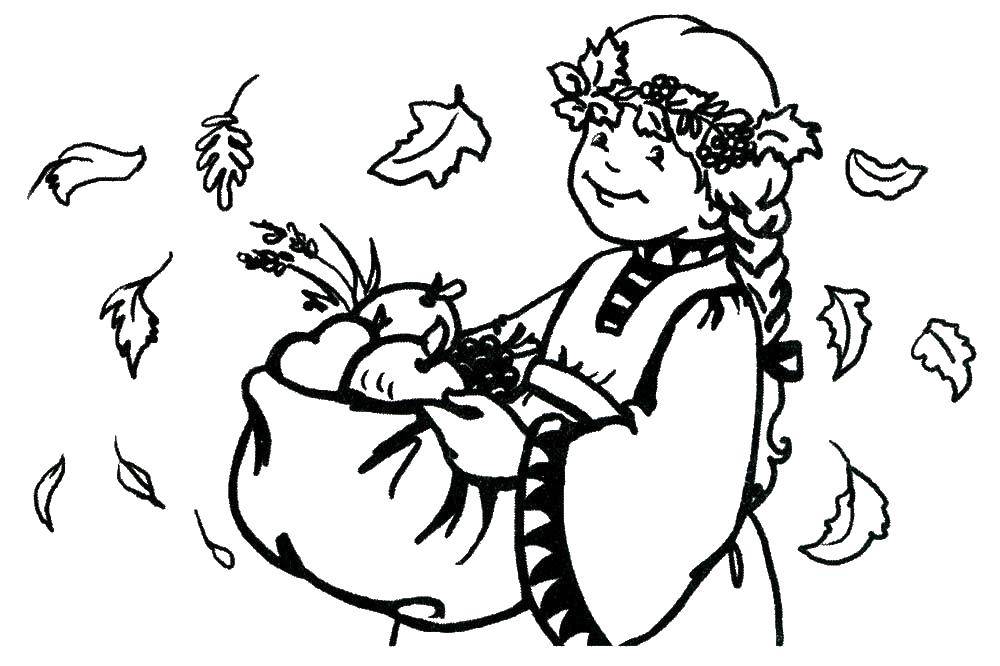 Coloring Girl harvests. Category autumn. Tags:  girl.