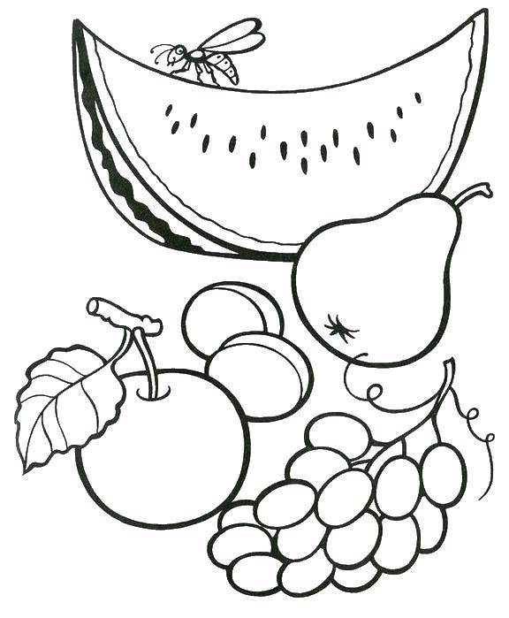 Coloring Fruit. Category fruits. Tags:  fruits, vegetables.