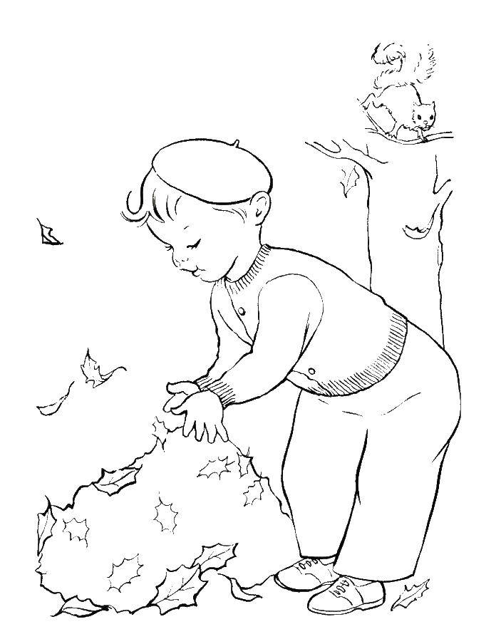 Coloring The boy gathers leaves. Category autumn. Tags:  leaves, children.