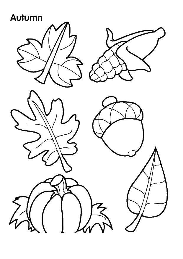 Coloring Autumn leaves. Category autumn. Tags:  Autumn, leaves.