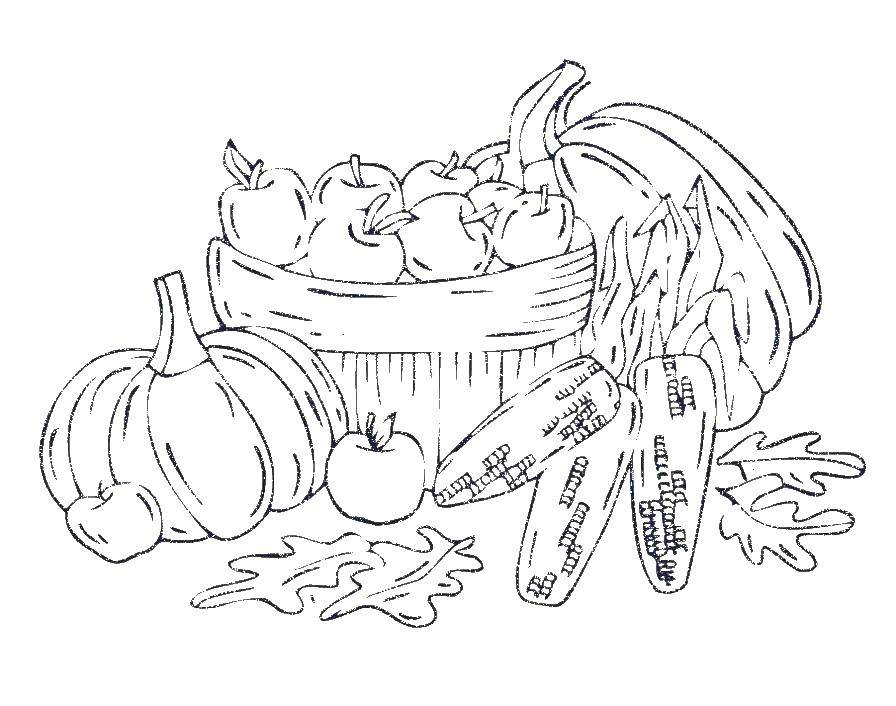 Coloring Autumn harvest. Category autumn. Tags:  harvest, vegetables.