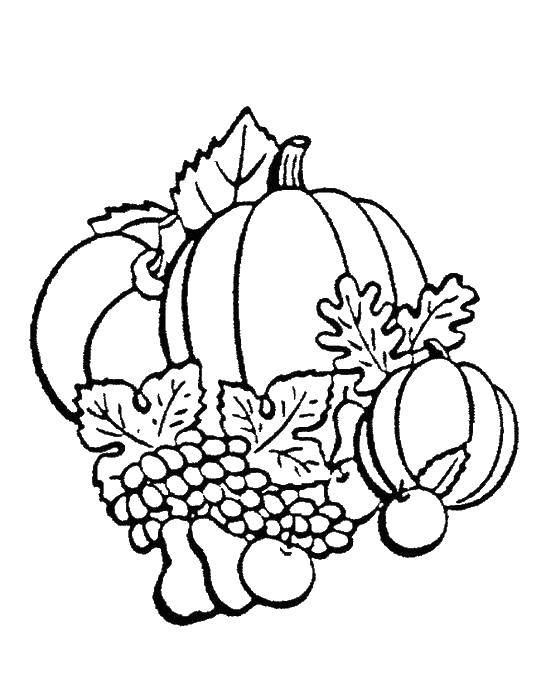 Coloring Vegetables and fruits. Category fruits. Tags:  vegetables, fruits.