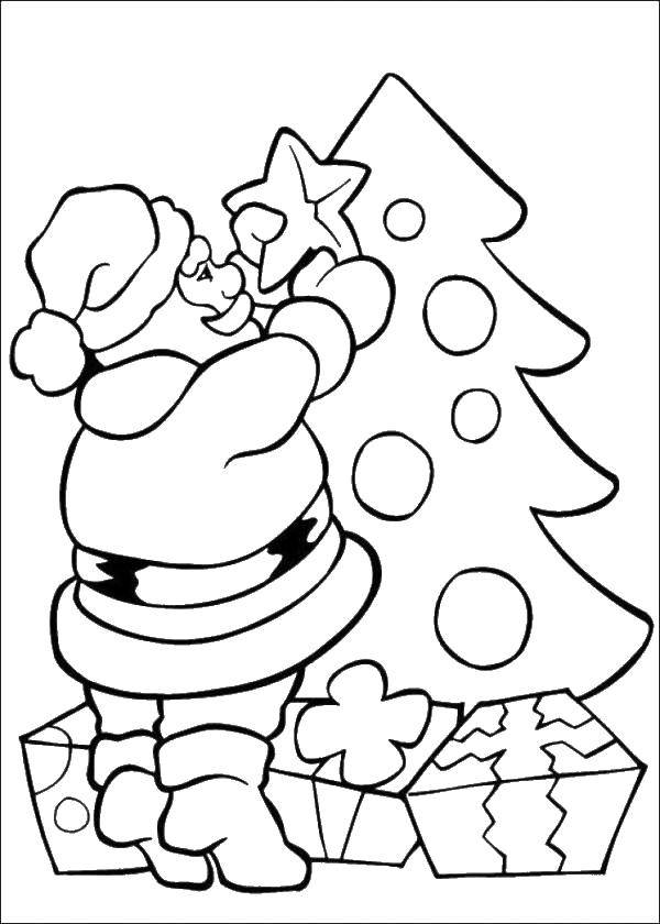 Coloring Santa Claus decorates a Christmas tree. Category Santa Claus. Tags:  New Year, Santa Claus.