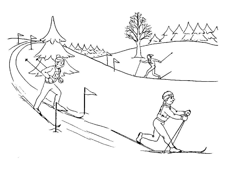 Coloring Skiers. Category sports. Tags:  skiing.