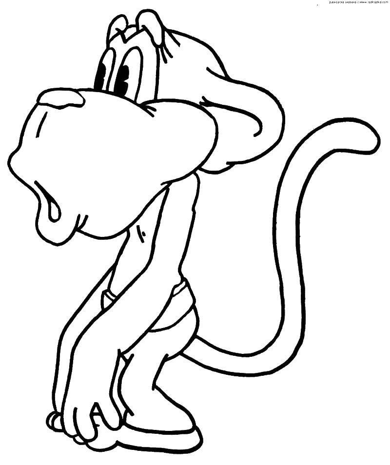 Название: Раскраска Удивленная обезьянка. Категория: Животные. Теги: Животные, обезьянка.