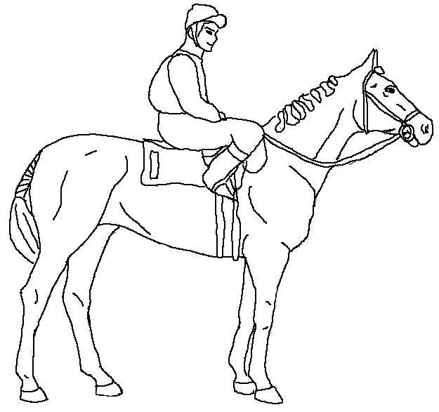 Название: Раскраска Верховая езда. Категория: спорт. Теги: лошадь, наездник.