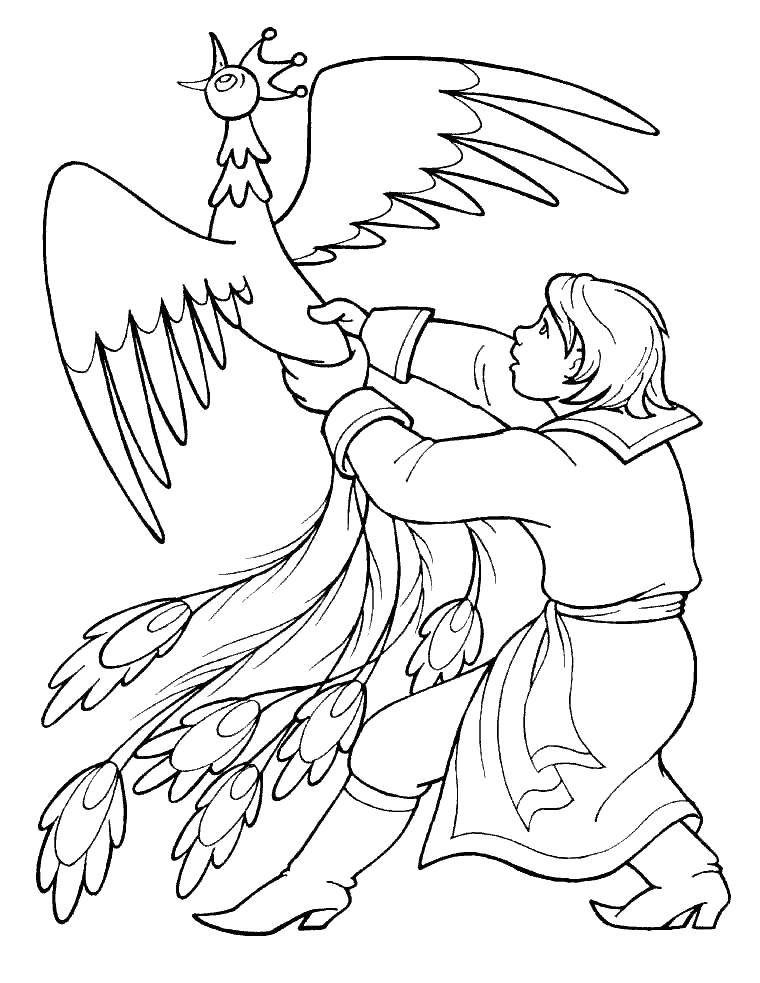 Coloring Ivan grabbed the heat of the bird. Category Fairy tales. Tags:  Tales KONEK Gorbunok.