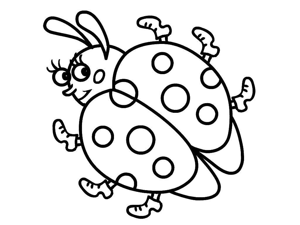 Coloring Ladybug. Category Insects. Tags:  Insects, ladybug.