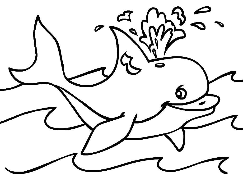 Название: Раскраска Дельфинчик. Категория: морское. Теги: Подводный мир, дельфин.