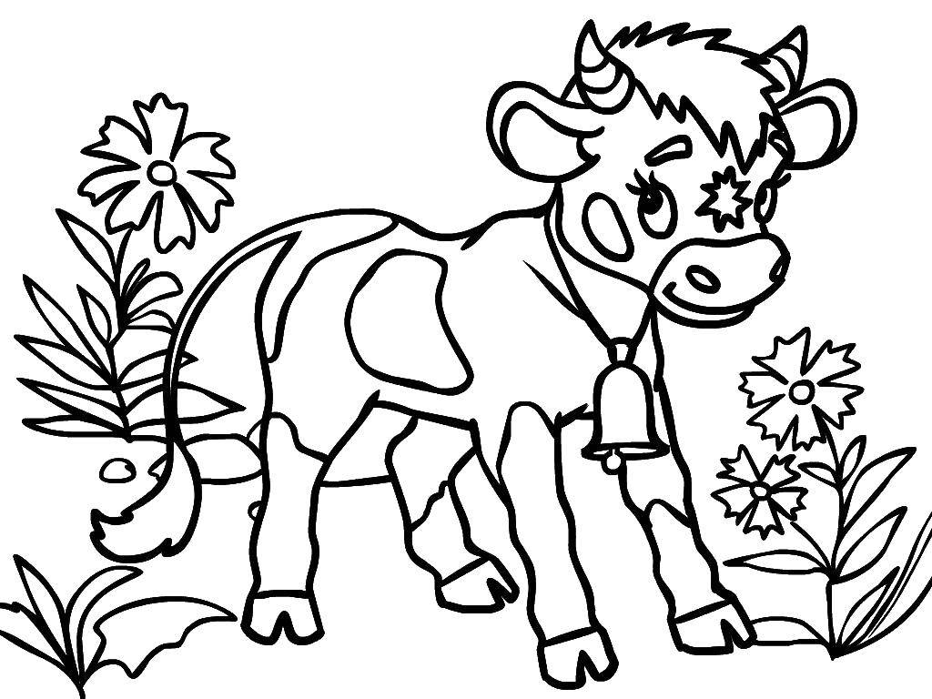 Coloring Cow with bell. Category Pets allowed. Tags:  Animals, cow.