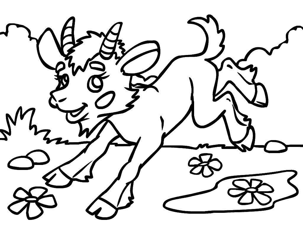 Coloring Goat. Category Pets allowed. Tags:  Animals, goat.
