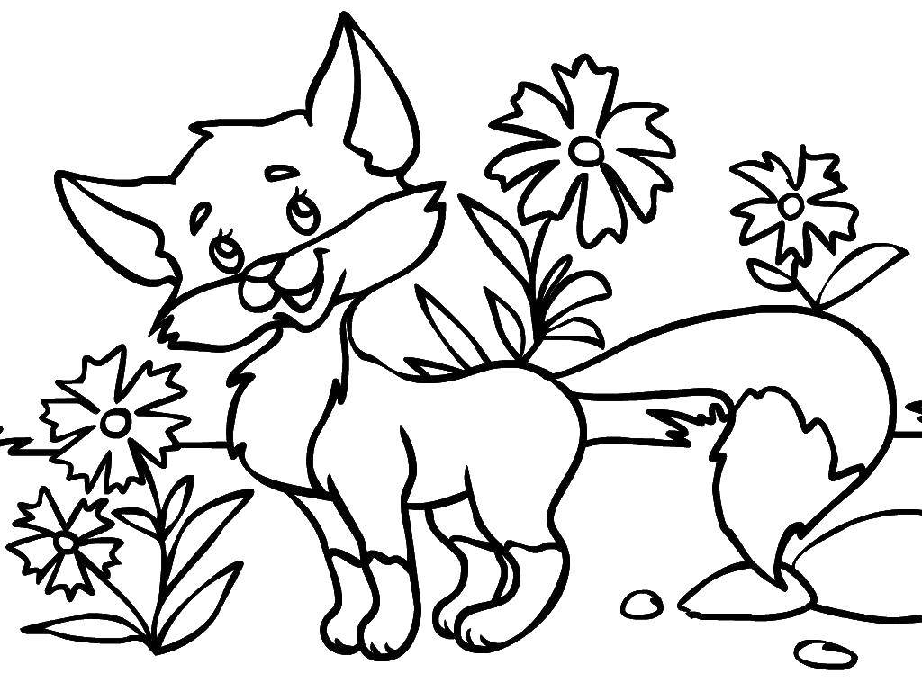 Coloring Fox. Category Animals. Tags:  Animals, Fox.
