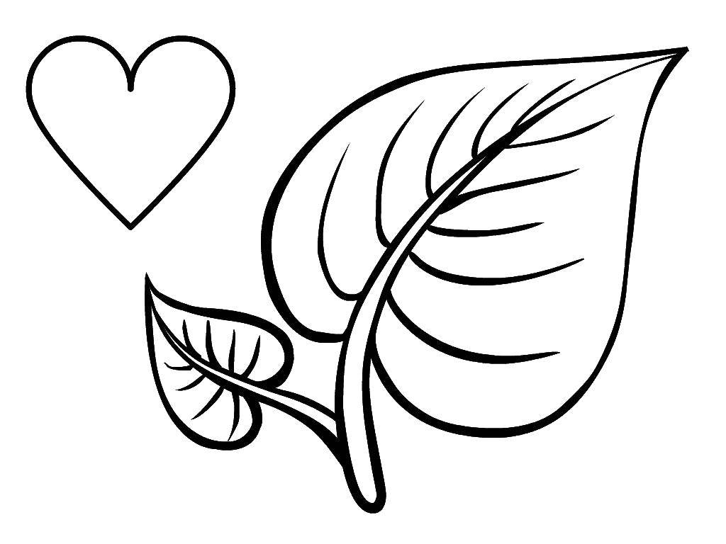 Coloring The leaf and heart. Category shapes. Tags:  Figure, geometric.
