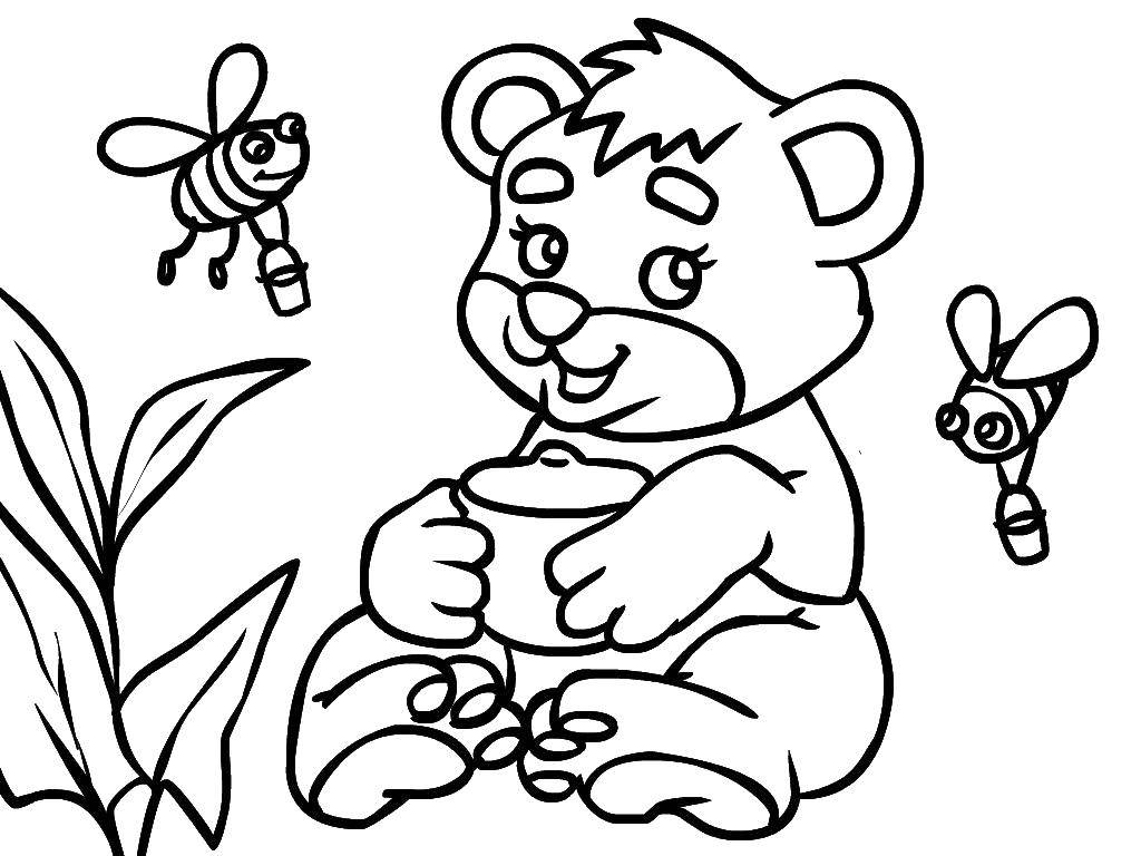 Название: Раскраска Мишка с мёдом. Категория: Животные. Теги: Животные, мишка.