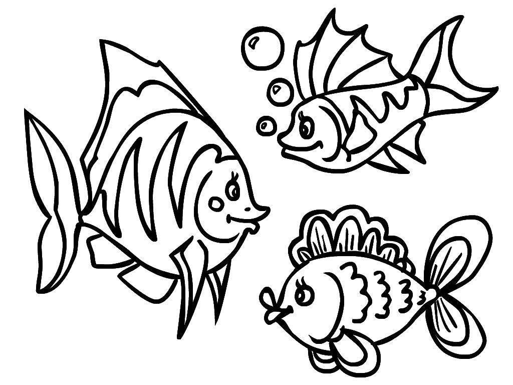 Название: Раскраска Рыбки плавают в воде. Категория: рыбы. Теги: Подводный мир, рыба.