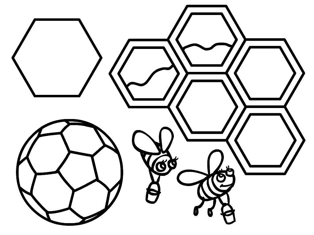 Coloring Honeycomb bees. Category Insects. Tags:  Insects, bee.