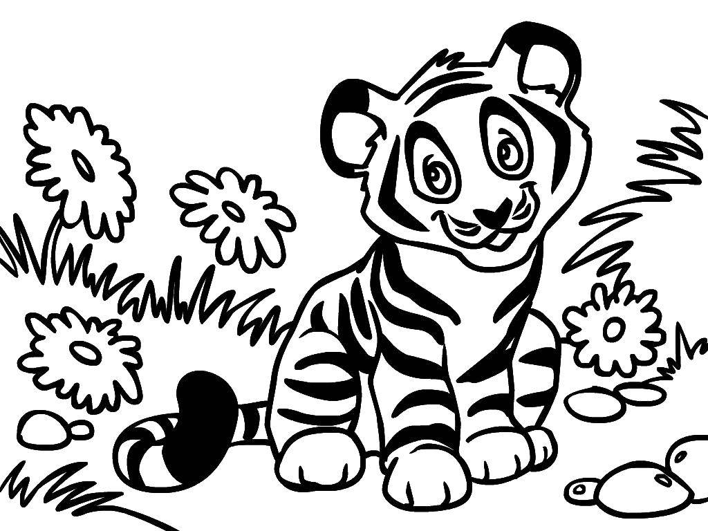 Coloring Tiger. Category Animals. Tags:  Animals, tiger.