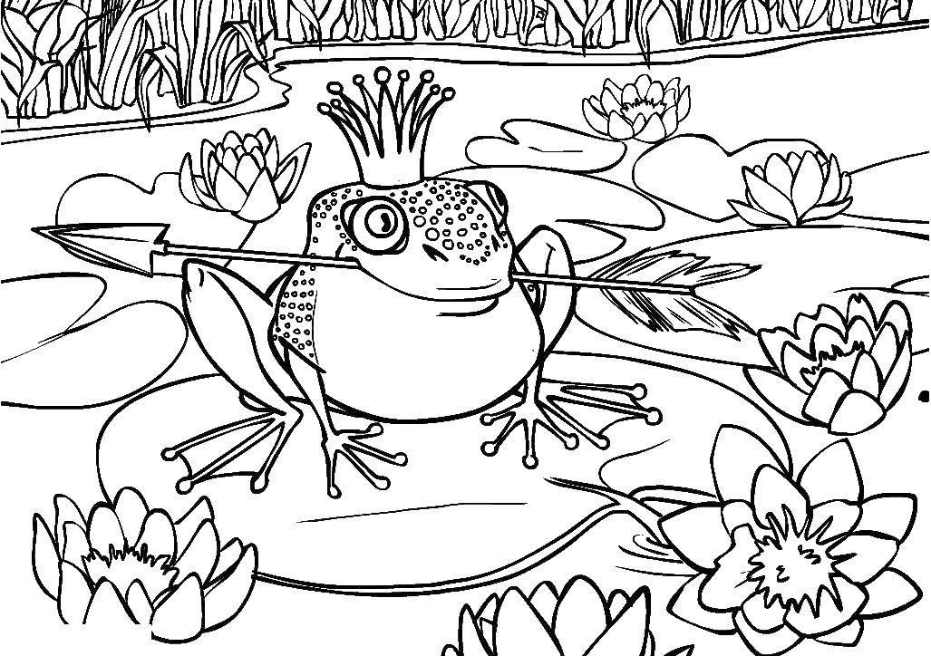 Coloring The frog Princess. Category Fairy tales. Tags:  Fairy Tales , The Frog Princess.