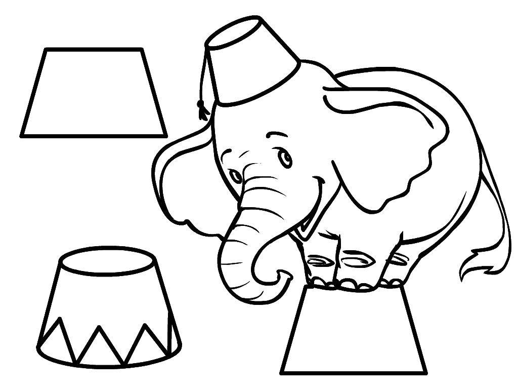 Название: Раскраска Цирковой слоник. Категория: Животные. Теги: Животные, слоненок.