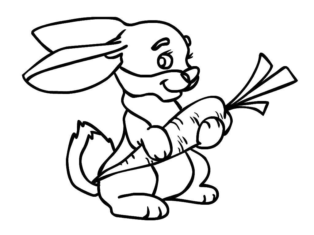 Coloring Bunny with carrot. Category Animals. Tags:  Animals, Bunny.