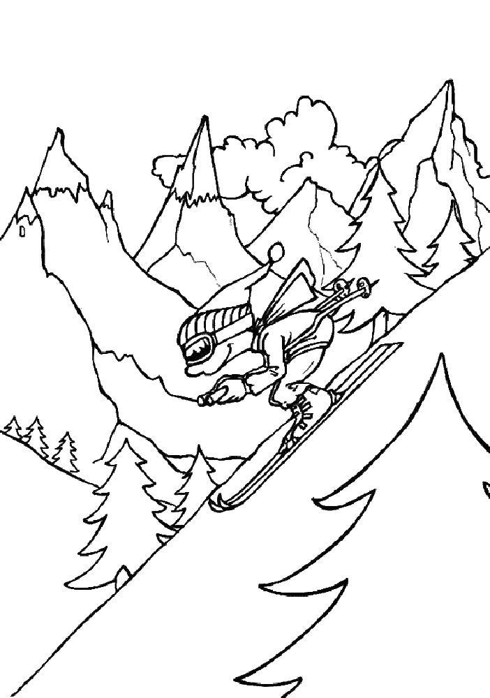 Название: Раскраска Лыжник катится с горы. Категория: спорт. Теги: лыжи.
