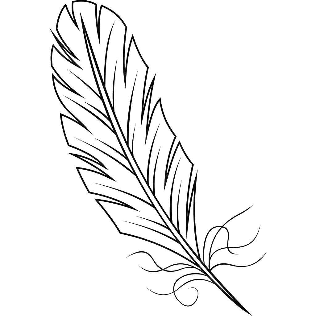 Coloring The feather of a bird. Category The contours for cutting out the birds. Tags:  feather.