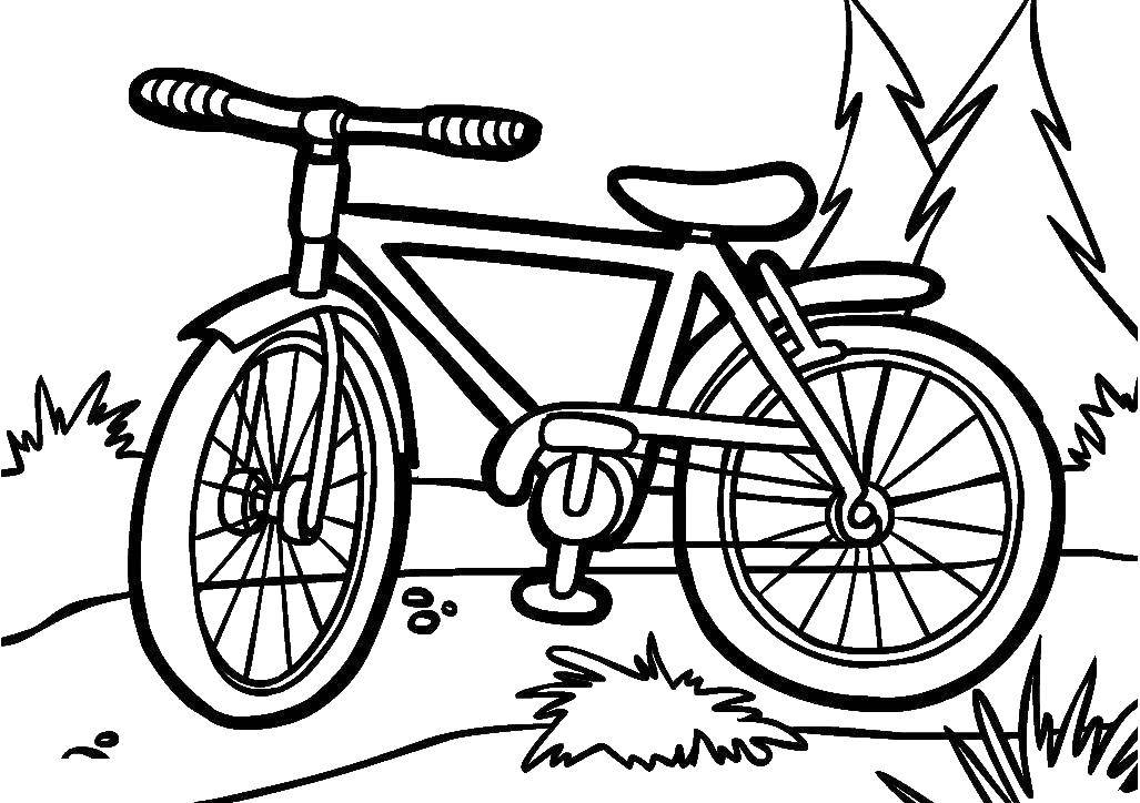 Название: Раскраска Велосипед. Категория: транспорт. Теги: Транспорт, велосипед.