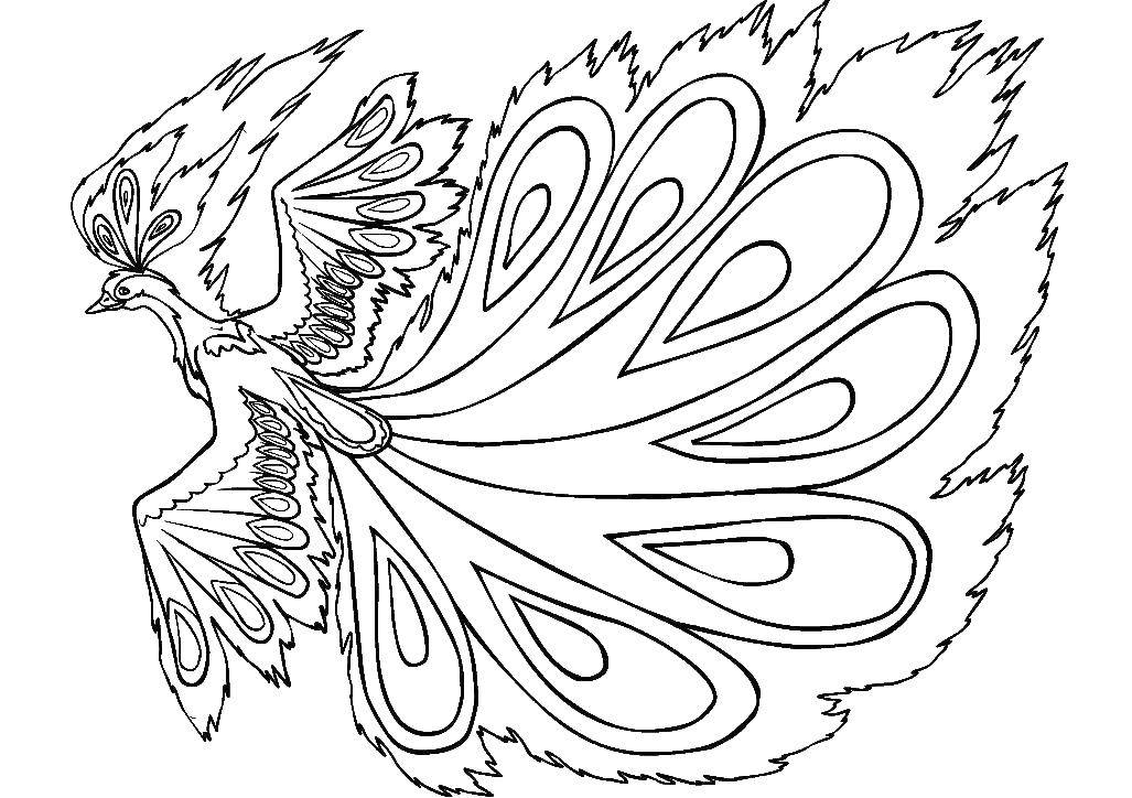 Coloring Firebird. Category Fairy tales. Tags:  Tales, The Firebird.