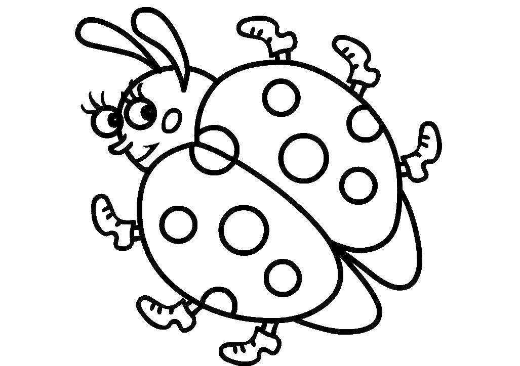 Coloring Ladybug. Category Insects. Tags:  Insects, ladybug.