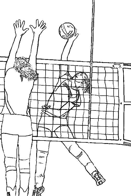 Coloring Girls playing volleyball. Category volleyball. Tags:  volleyball, sport, ball.