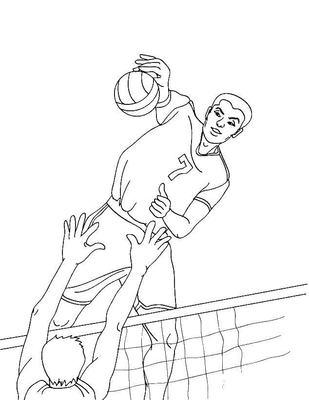 Coloring Volleyball. Category volleyball. Tags:  Sports, volleyball, ball.