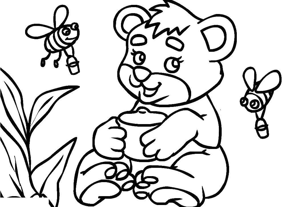 Coloring Bear with honey. Category Animals. Tags:  Animals, bear.