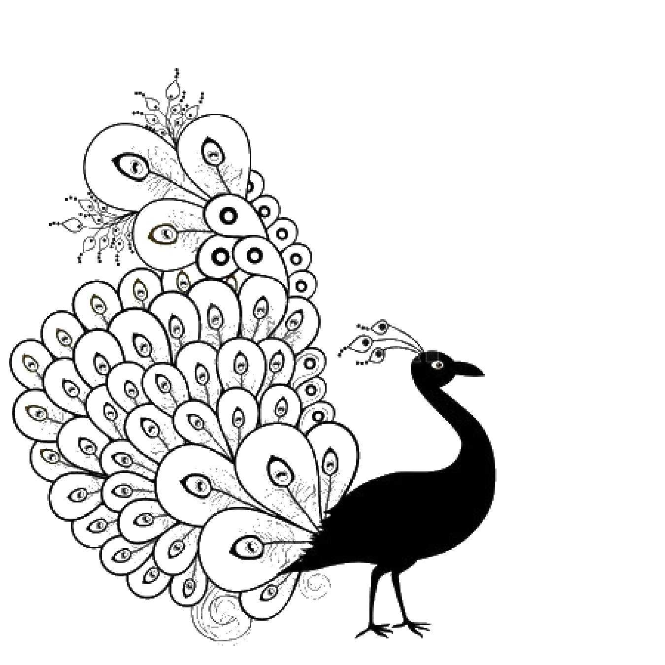 Название: Раскраска Павлин с роскошным хвостом. Категория: Контуры для вырезания птиц. Теги: павлин, птицы.