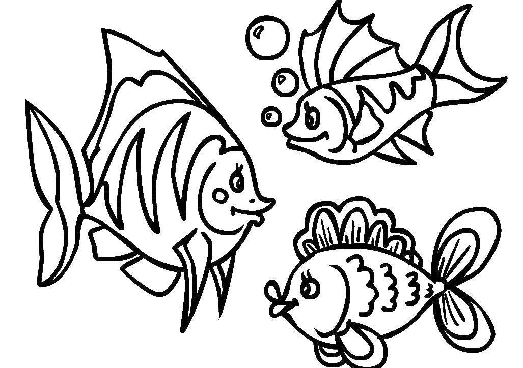 Название: Раскраска Рыбки плавают в воде. Категория: рыбы. Теги: Подводный мир, рыба.