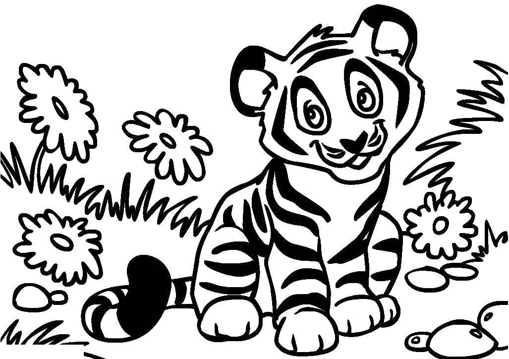 Название: Раскраска Тигренок. Категория: Животные. Теги: Животные, тигр.